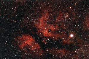 IC1318, großes Foto