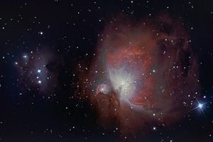 M42, groes Foto